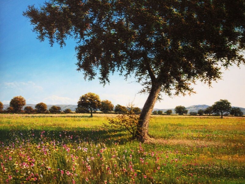 Solitary tree in a wildflower field