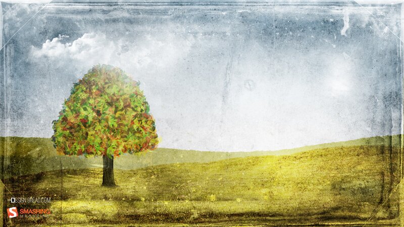 solitary tree in autumn field