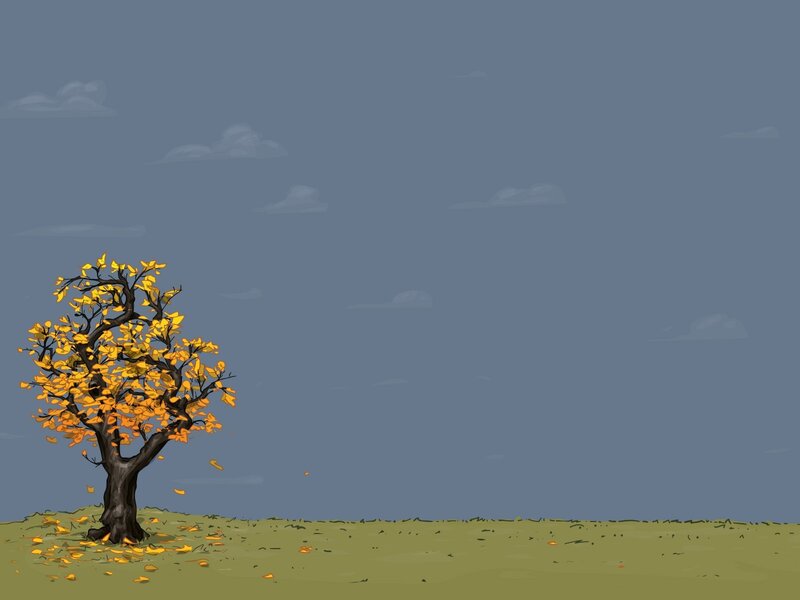 solitary tree in autumn