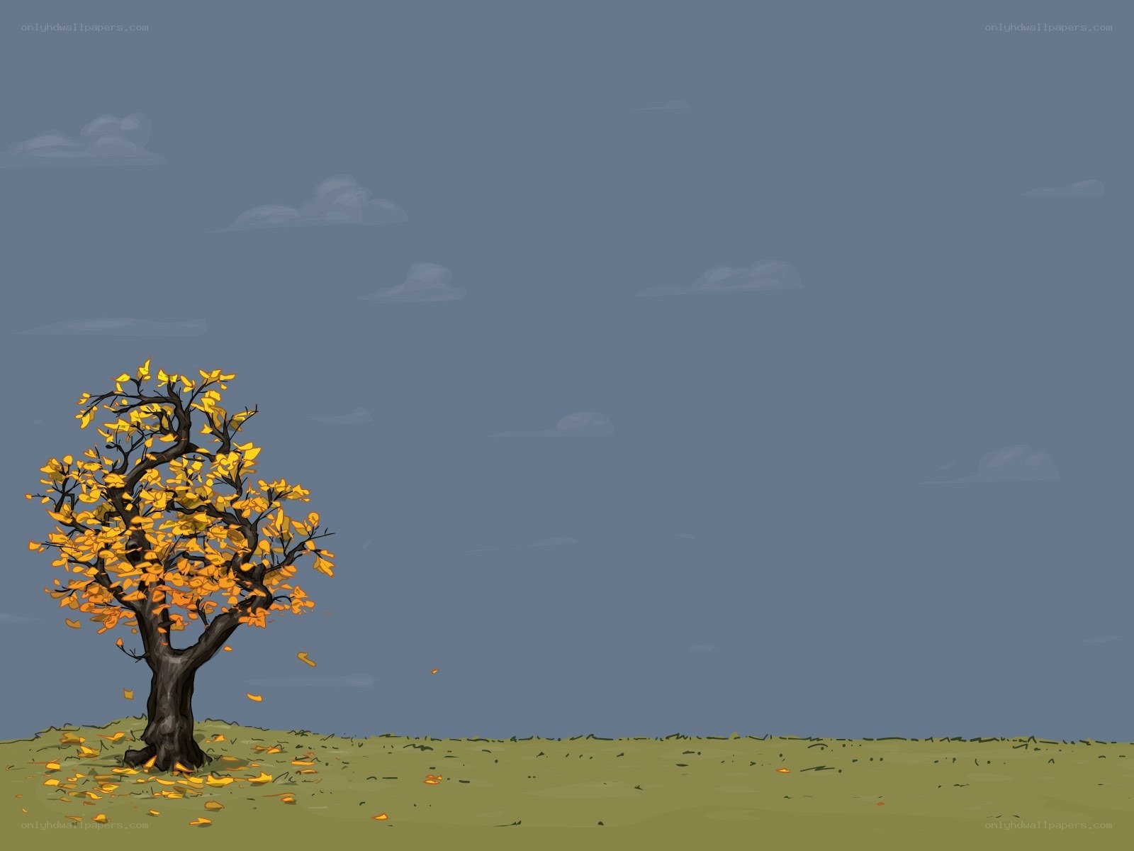 solitary tree in autumn