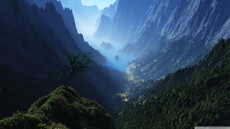 Solitary Tree in Canyon — Blue, Serene