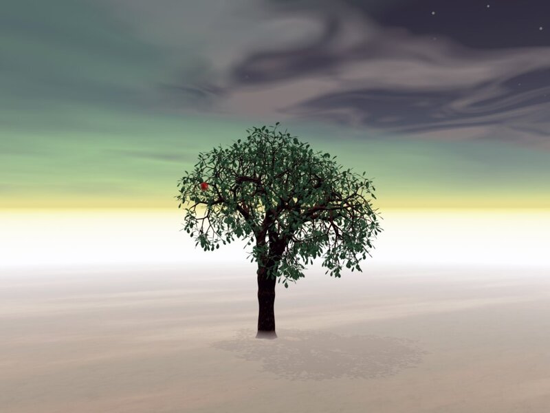 Solitary Tree in Desert — Green