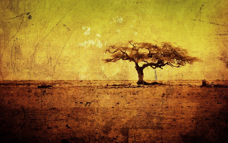 Solitary Tree in Desert — Yellow, Dramatic, Sunset