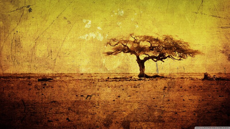 Solitary Tree in Desert — Yellow, Dramatic