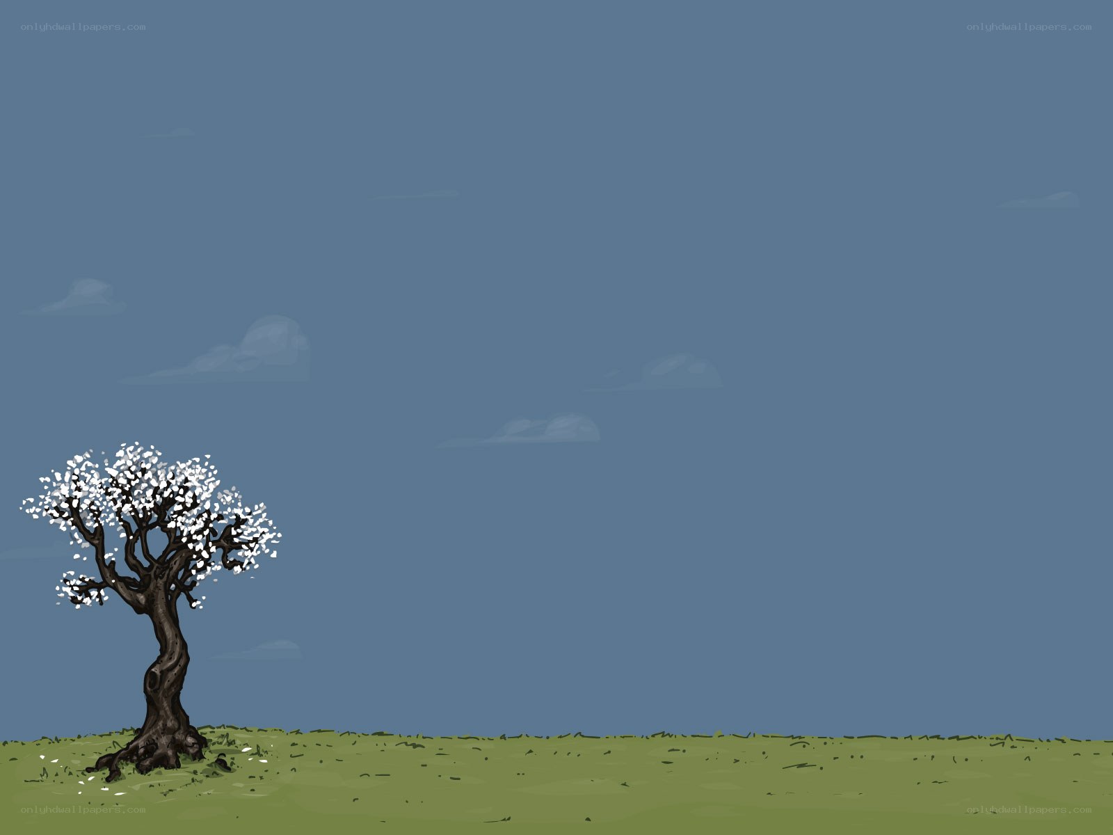 solitary tree in field