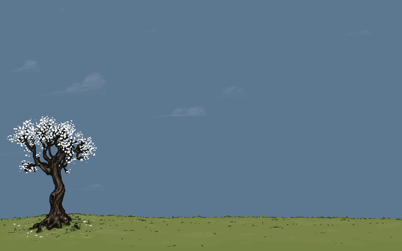 solitary tree in field