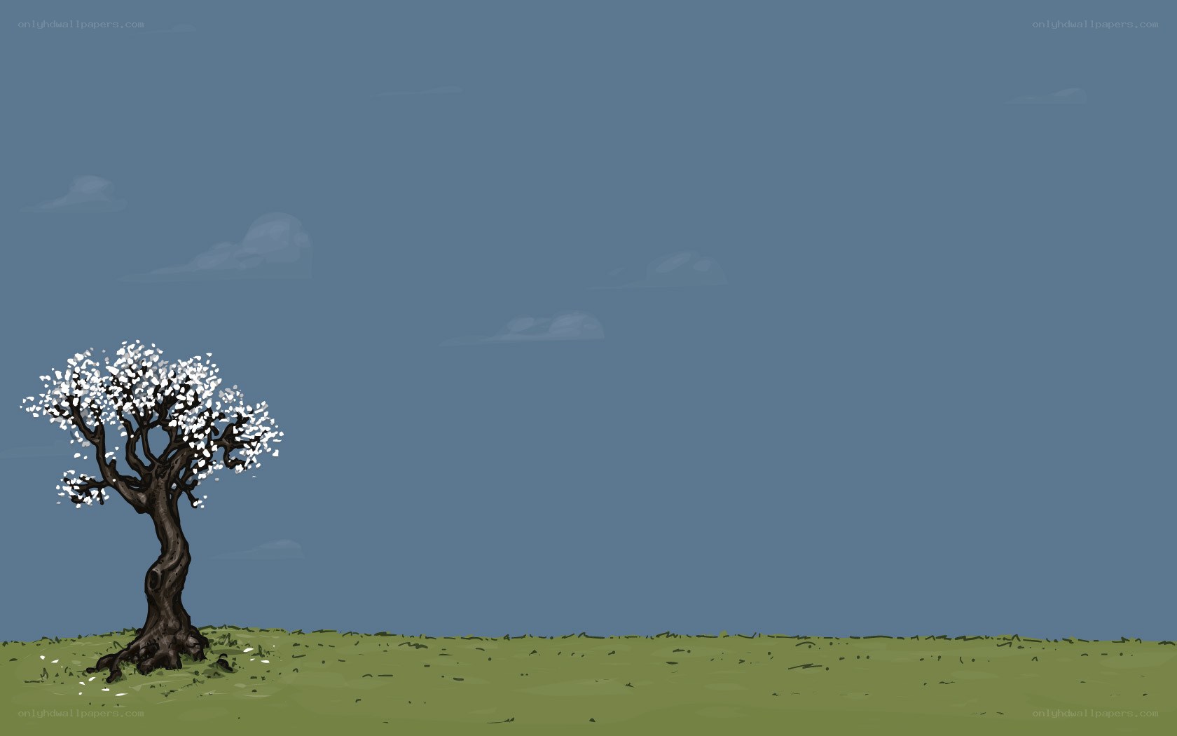 solitary tree in field