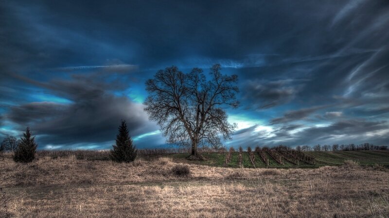Solitary Tree in Field — Blue, Dramatic, Autumn, Photograph, Clouds