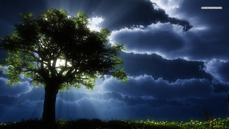 Solitary Tree in Field — Blue, Dramatic, Night, Digital Art, Clouds, Sunlight