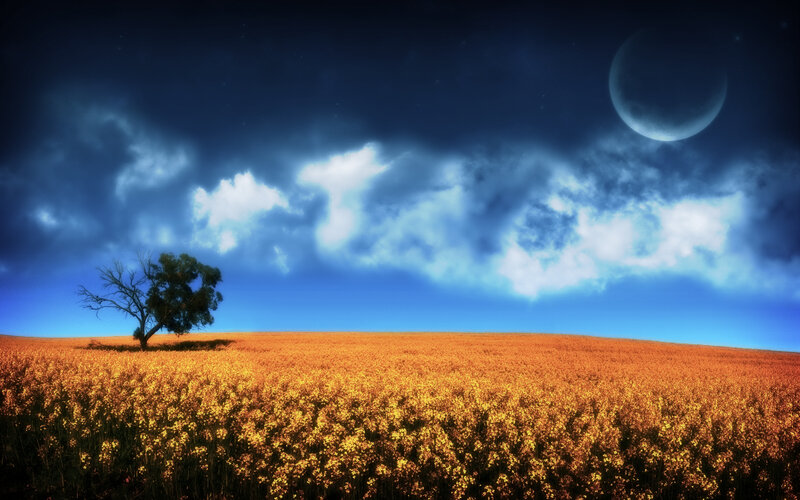Solitary Tree in Field — Blue, Dramatic, Night, Digital Art, Moon