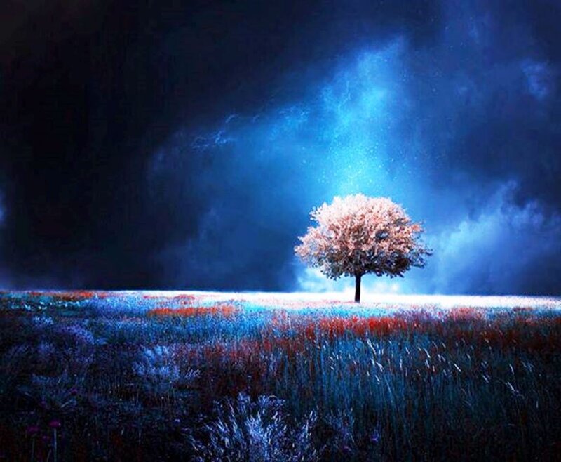 Solitary Tree in Field — Blue, Dramatic, Night, Digital Art, Sky