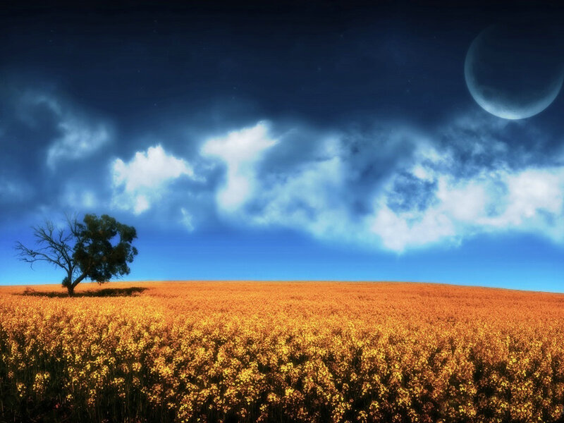 Solitary Tree in Field — Blue, Dramatic, Night, Digital Art