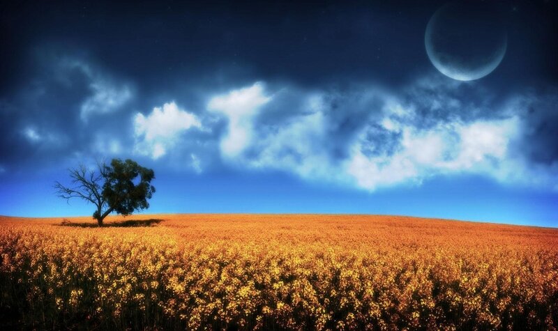 Solitary Tree in Field — Blue, Dramatic, Night