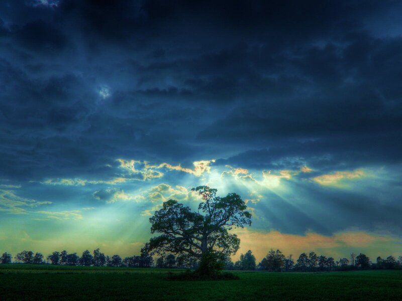 Solitary Tree in Field — Blue, Dramatic, Sunset, Photograph, Clouds, Sunlight