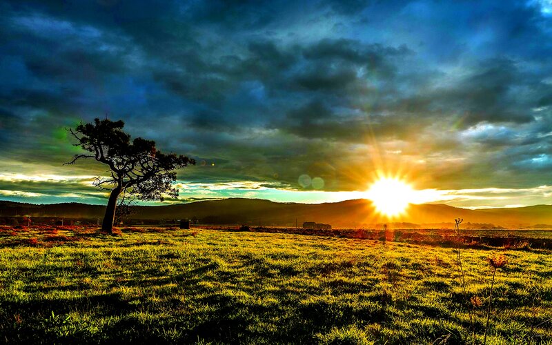Solitary Tree in Field — Blue, Dramatic, Sunset, Photograph, Sun, Clouds, Hills
