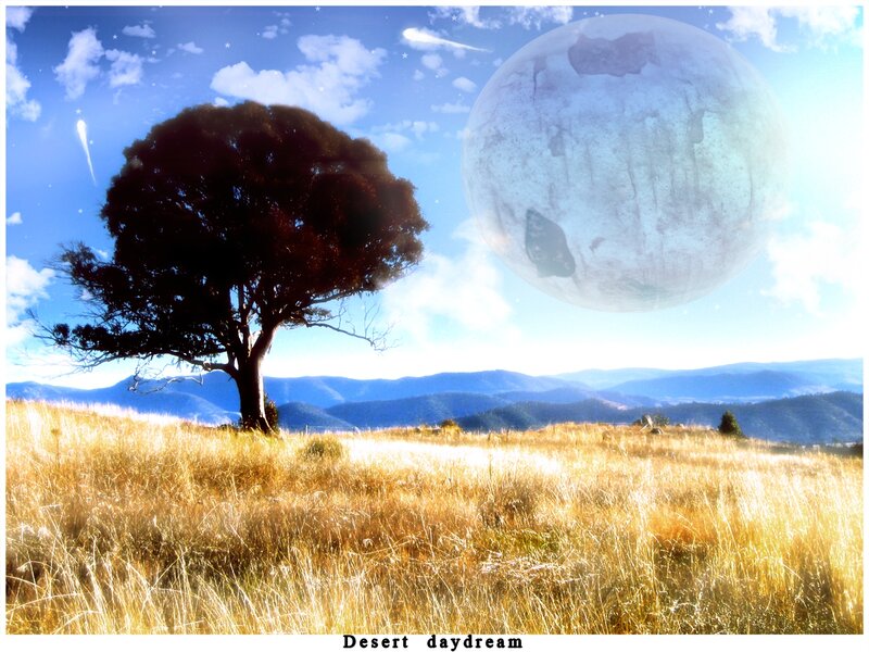 Solitary Tree in Field — Blue, Dreamy