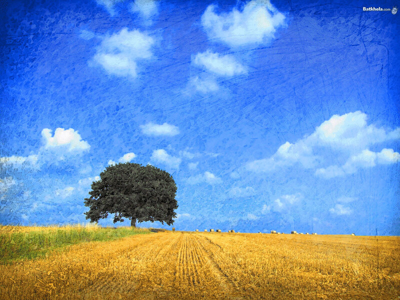 Solitary Tree in Field — Blue, Serene, Afternoon, Painting