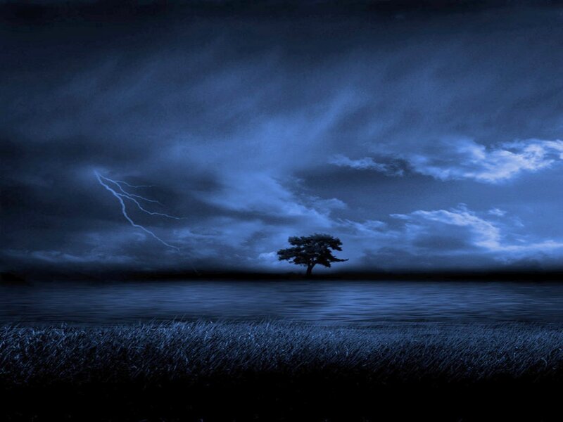 Solitary Tree in Field — Blue