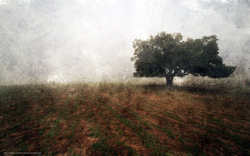 Solitary Tree in Field — Brown, Misty