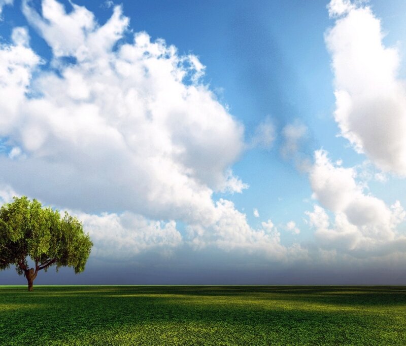 Solitary Tree in Field — Clouds, Blue