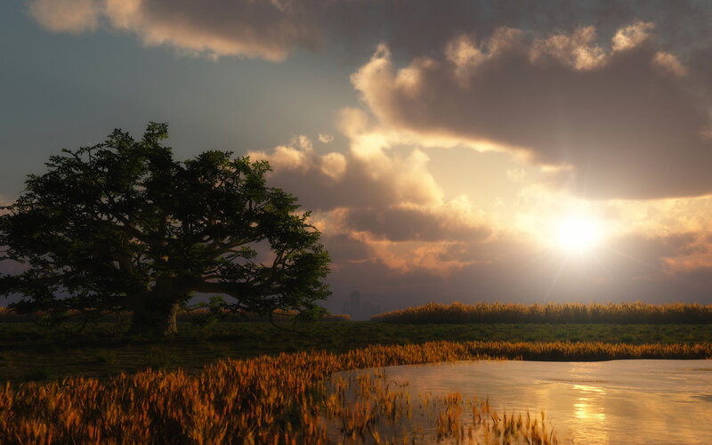 Solitary Tree in Field — Gold, Serene, Sunset, 3d Render