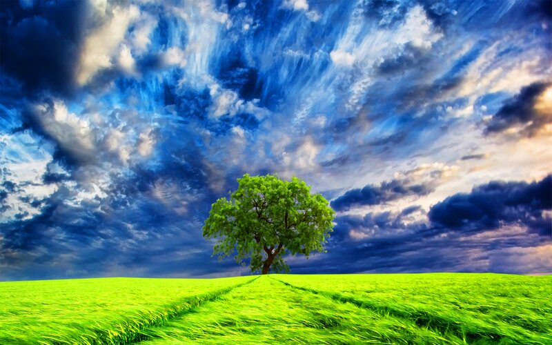 Solitary Tree in Field — Green, Dramatic, Afternoon, Digital Art, Clouds, Sky