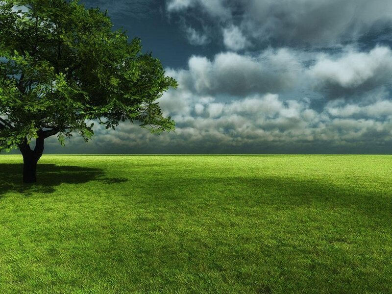 Solitary Tree in Field — Green, Dramatic, Afternoon, Digital Art, Clouds
