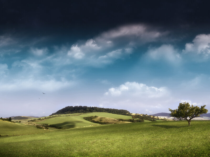 Solitary Tree in Field — Green, Dramatic, Afternoon, Photograph, Rolling Hills