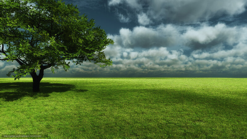 Solitary Tree in Field — Green, Dramatic, Digital Art, Grass