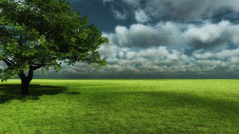 Solitary Tree in Field — Green, Dramatic, Digital Art
