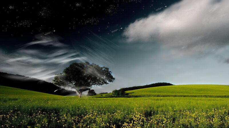 Solitary Tree in Field — Green, Dramatic, Night, Digital Art, Clouds, Stars, Black, White