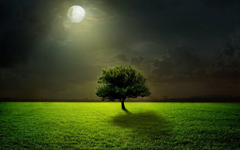 Solitary Tree in Field — Green, Dramatic, Night, Digital Art, Moon, Clouds, Grass