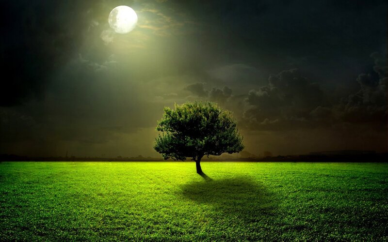 Solitary Tree in Field — Green, Dramatic, Night, Digital Art, Moon, Clouds