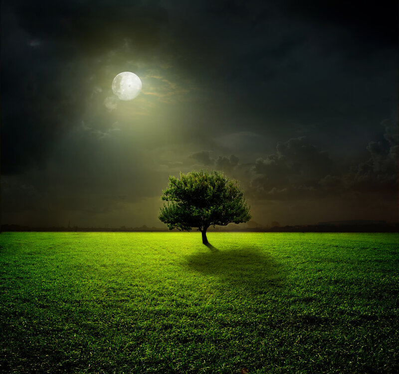 Solitary Tree in Field — Green, Dramatic, Night, Digital Art, Moon