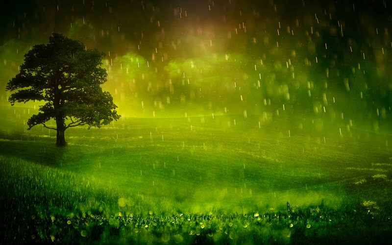 Solitary Tree in Field — Green, Dramatic, Night, Digital Art