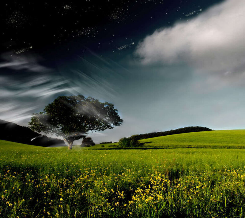 Solitary Tree in Field — Green, Dramatic, Night, Photograph, Clouds, Stars, Blue