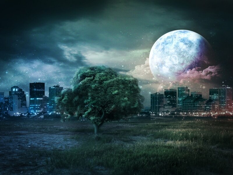 Solitary Tree in Field — Green, Dramatic, Night