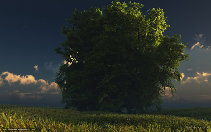 Solitary Tree in Field — Green, Dramatic, Sunset, Digital Art, Clouds