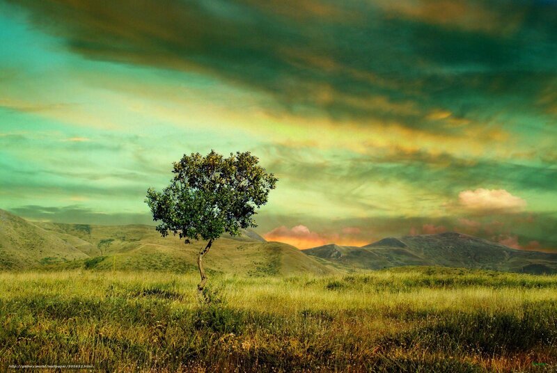Solitary Tree in Field — Green, Dramatic, Sunset, Digital Art, Hills, Sky