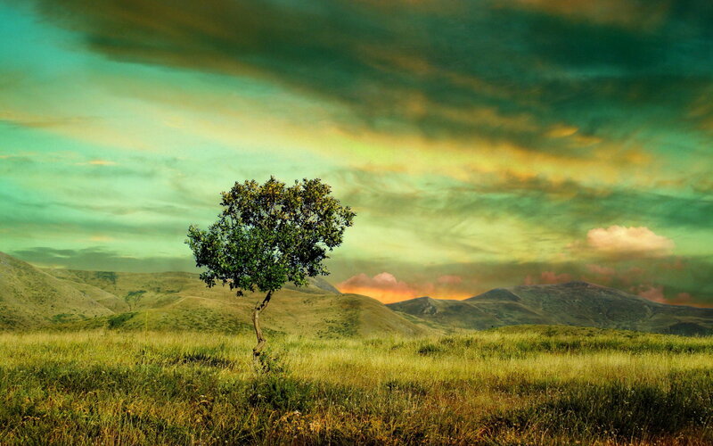 Solitary Tree in Field — Green, Dramatic, Sunset, Digital Art, Hills