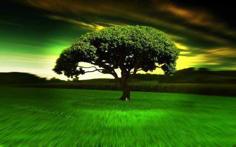 Solitary Tree in Field — Green, Dramatic, Sunset, Digital Art, Sky, Clouds, Yellow
