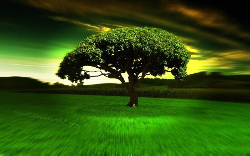 Solitary Tree in Field — Green, Dramatic, Sunset, Digital Art, Sky