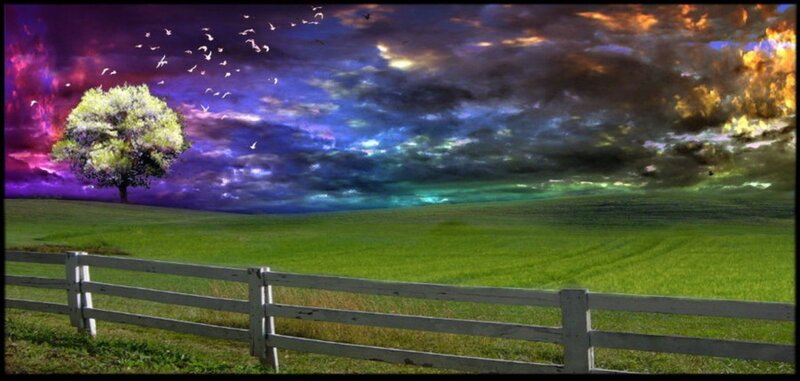 Solitary Tree in Field — Green, Dramatic, Sunset, Digital Art