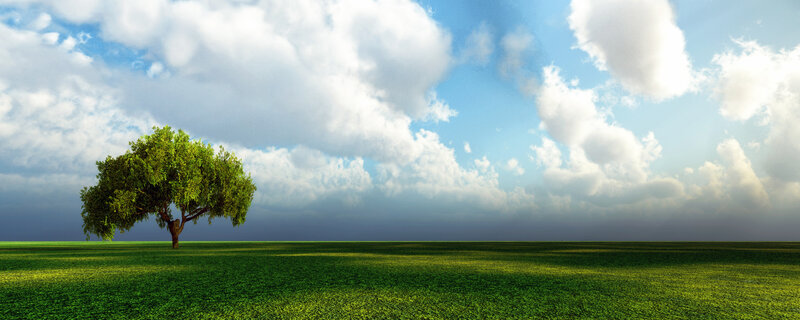 Solitary Tree in Field — Green, Serene, Afternoon, Digital Art, Clouds, Sky