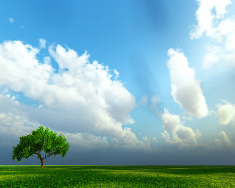 Solitary Tree in Field — Green, Serene, Afternoon, Photograph, Clouds, Sky