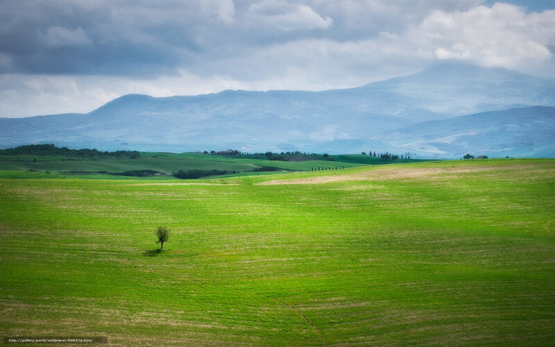 Solitary Tree in Field — Green, Serene, Afternoon, Photograph, Mountains, Clouds, Trees