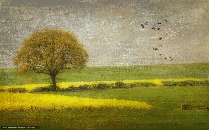Solitary Tree in Field — Green, Serene, Autumn, Painting, Birds, Sky