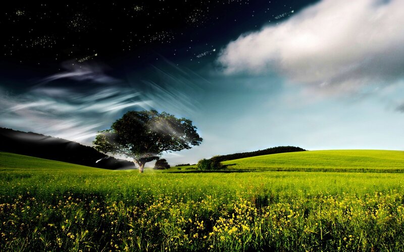 Solitary Tree in Field — Green, Serene, Night, Digital Art, Clouds, Stars
