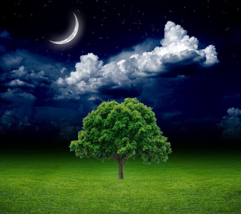 Solitary Tree in Field — Green, Serene, Night, Digital Art, Moon, Clouds