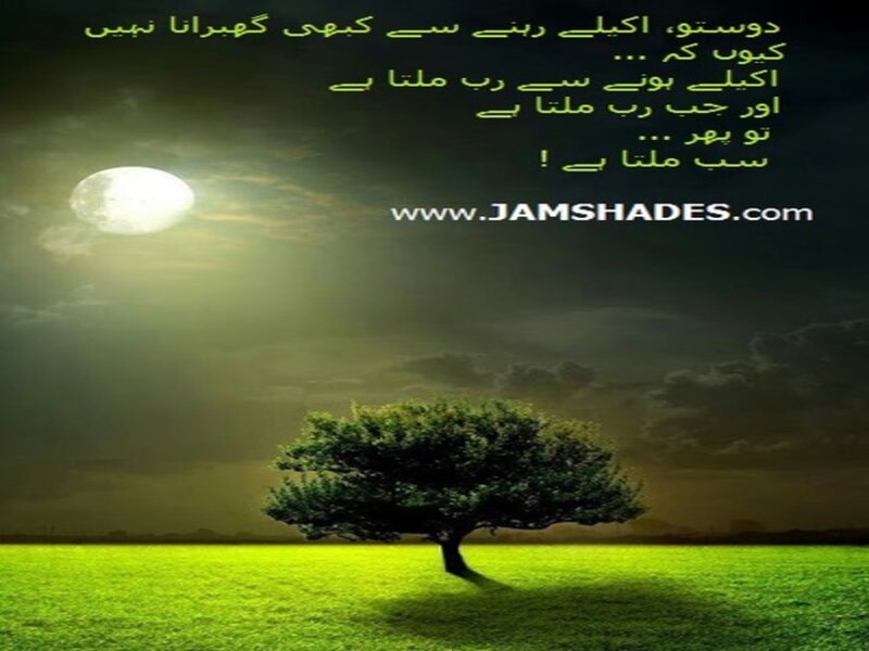Solitary Tree in Field — Green, Serene, Night, Photograph, Moon